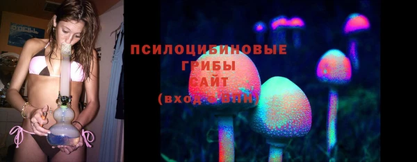 spice Богородск