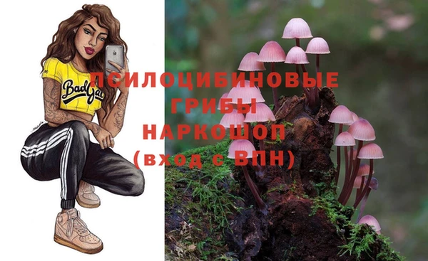 метадон Богородицк