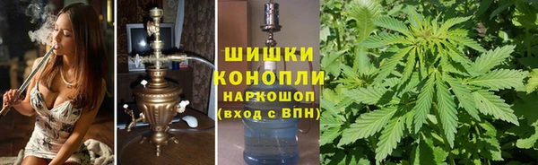 spice Богородск