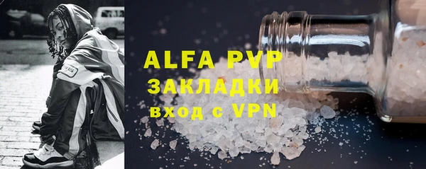PSILOCYBIN Белокуриха